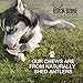 Buck Bone Organics Dog Chews, Antlers for Dogs, Premium Natural Elk, Long Lasting Dog Bones for Aggressive Chewers, No Preservatives, Wild Shed in The USA Medium
