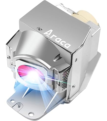 Amazon.com: KAIWEIDI RLC-079 Replacement Projector Lamp for