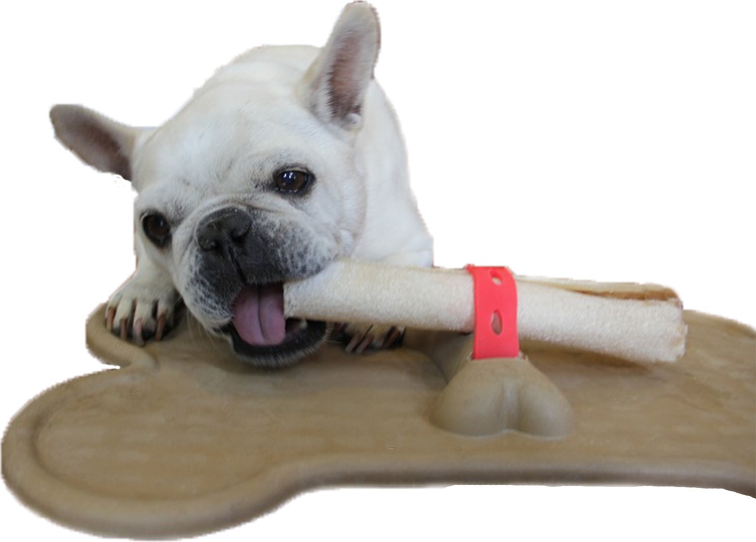 Bone Mat Dog Bone Holder Buy Online in United Arab Emirates at