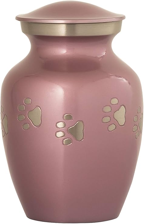 dog urns for ashes amazon