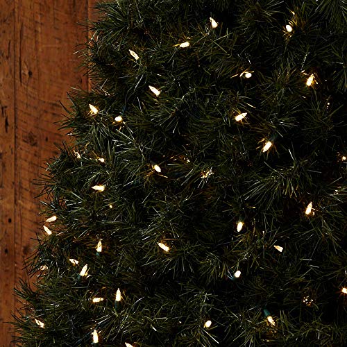 NOMA Premium Mini LED Christmas Lights 70 Warm White String Lights