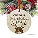 Andaz Press Personalized Laser Engraved Wood Christmas Ornament with Gift Bag, Baby's First Christmas 2024, Round, Reindeer, Custom Name, 1-Pack, Baby Shower Ideas