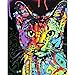Yalatan DIY Oil Painting Paint By Number Kits Sets-Colorful Cat