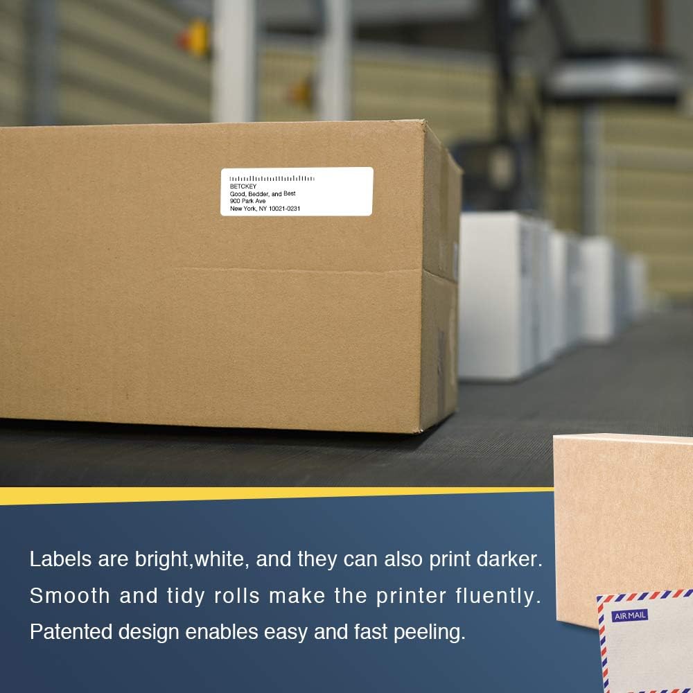 BETCKEY - Compatible DK-1201 Standard Address 1-1/7" x 3-1/2"(29mm x 90mm) Replacement Labels, Compatible with Brother QL Label Printers[10 Rolls/4000 Labels with Refillable Cartridge Frame] : Office Products