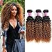 Soft Feel Hair 8A Brazilian Ombre Curly Hair 3 Bundles 100% Virgin Human Hair Extensions Two Tone 1B/30 Black to Blonde Ombre Brazilian Jerry Curly Hair Weaves 100g/pc (20 22 24)