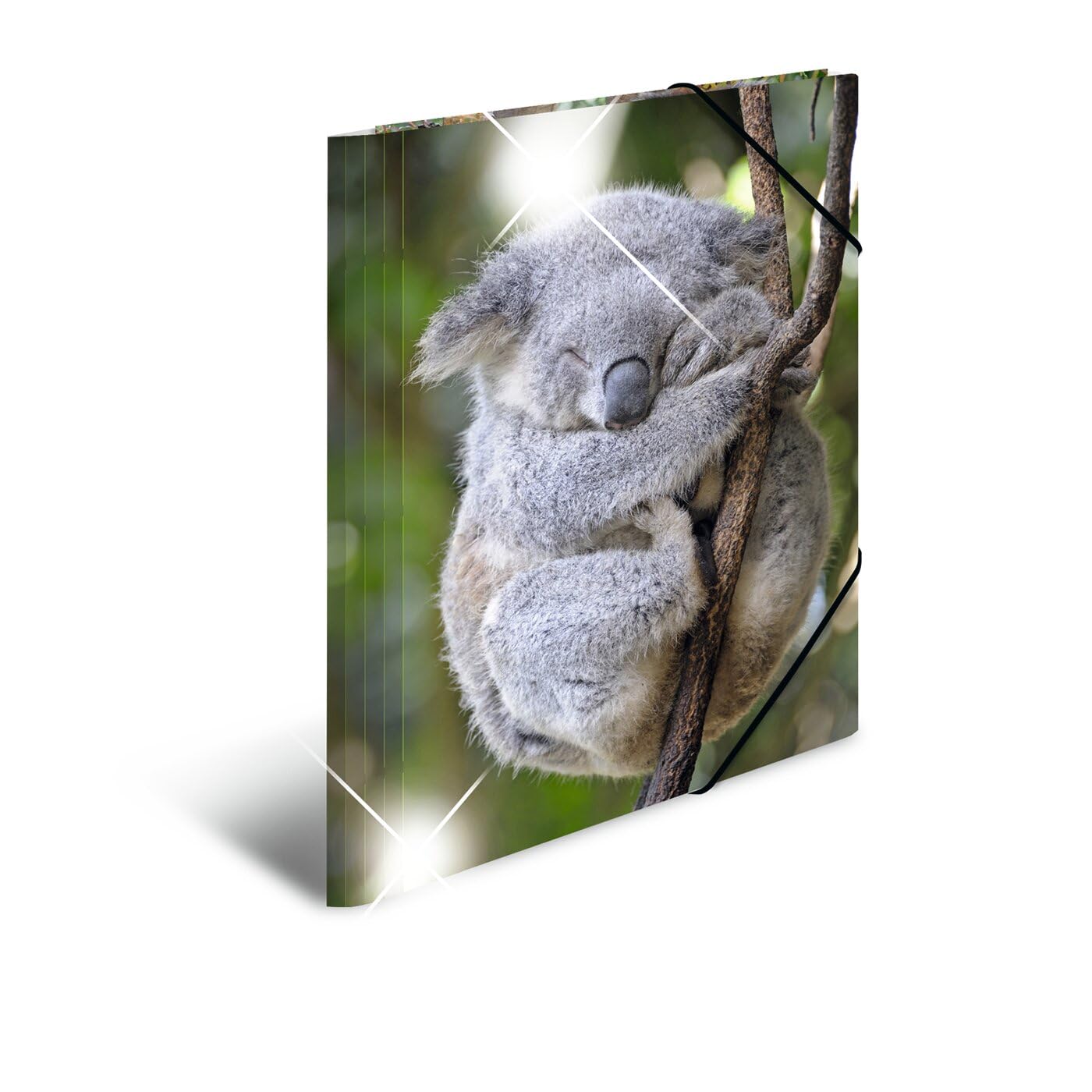 HERMA Elastic Folder Animals with Koala Motif, A4, Glossy Plastic, with Inner Print, 1 Span Folder
