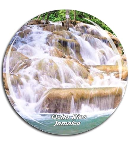 Bahamas Palau Jamaica Honduras Ocean Style 3D Rosa Pesce Frigorifero Magnete Souvenirs Resina Frigorifero Magnetico Casa e Cucina Decorazione Collezione