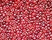 Red Berry Multicolor Mix Plastic Pony Beads 6x9mm, 500 Beads, Made in The USA, Bulk Pony Beads Package for Arts & Crafts