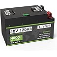 48V 120Ah Lithium LiFePO4 Battery 6144Wh Deep Cycle Iron Phosphate Battery with Anderson, Perfect for Home Energy Storage, Solar Power, Backup Power, Marine, RV, Golf Carts and Off Grid Applications