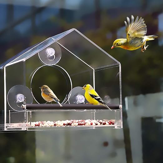 Amazon Com Homes Garden Window Bird Feeder W Strong Suction Cups