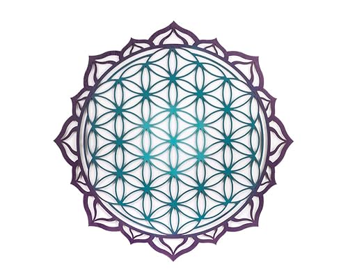 Amazon Com Mandala Living Room Wall Hanging Turquoise Wood Decor