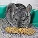 Vitakraft Crunch Sticks Honey Flavor with Added Calcium Chinchilla Treat (2 Sticks), 3.5 oz, Brown