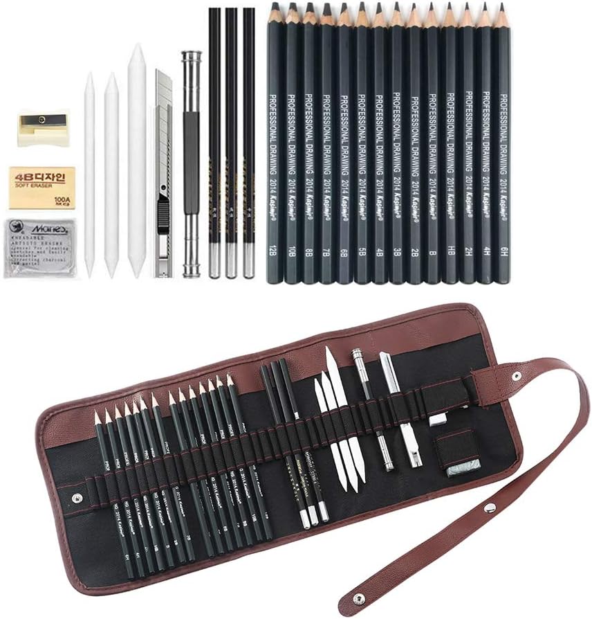 Sketching Pencil Set, 24 Pcs Graphite Drawing Pencil for Artists Adults Children Include 12B, 6H, Charcoal Pencils