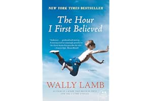 The Hour I First Believed: A Novel