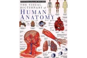 The Visual Dictionary of Human Anatomy