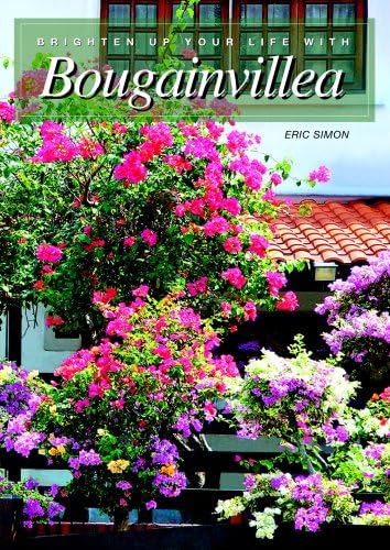 Brighten Up Your Life With Bougainvillea