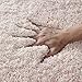 NORCHO Pink Water Absorbent Bath Rug Non-Slip Rubber Shaggy Bathroom Floor Mat Fluffy Microfiber Bathtub Pad 32