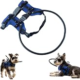 Blind Dog Halo Adjustable Protective Ring with Reflective Strips, Navigation Harness for Daily Walks Travel, for Visually Impaired Dogs &amp; Pet Owners (Blue, S)
