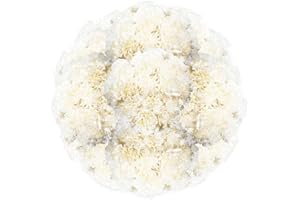 GlobalRose 350 White Carnation Flowers - Responsibly Sourced Carnations Fresh Flowers - Hand-Picked Fresh Bouquet for Graduation, Anniversary, Birthday & Special Occasions (14 Bunches of 25 Stems)