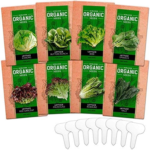 8 Heirloom Lettuce and Leafy Greens Seeds - Over 1000 Seeds - Non GMO Bulk Lettuce Seeds for Planting - Kale, Spinach, Butter, Oak, Romaine, Iceberg, Bibb - Prepper Supplies, Hydroponic, Home Garden
