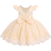 IDOPIP Flower Girl Lace Dress for Kids Baby Wedding Pageant Birthday Party Dresses Toddler Bead V-Backless Bowknot Tulle Gown