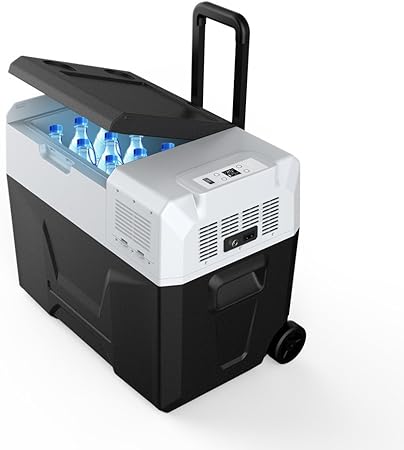 fastrack coolers for mens