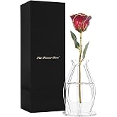 Forever Rose Hand-Dipped in 24K Gold, Ruby Red July Birthstone | Real Rose with Sparkles in Phantom Vase and Bloom Box, Perfect Ready to Gift for Birthday or Any Occasion