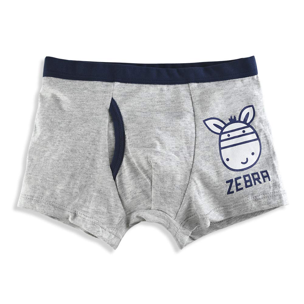 slaixiu Soft Cotton Kids Underwear Cartoon Boys Boxer Briefs 4-Pack (UW75-No.9-110)