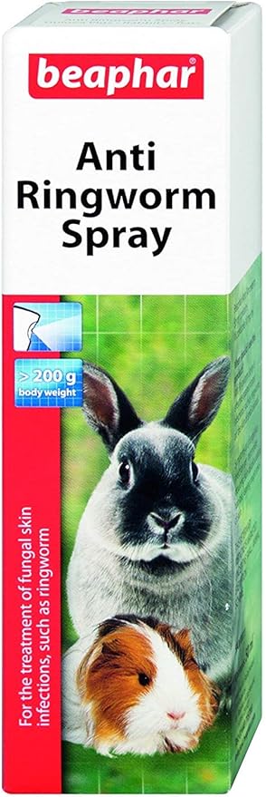 How To Treat Ringworms In Guinea Pigs Pets4homes