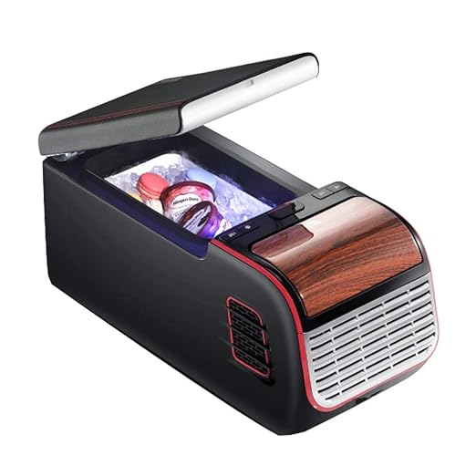 HNFYJQ Refrigerador para automóvil, Mini Caja portátil con ...