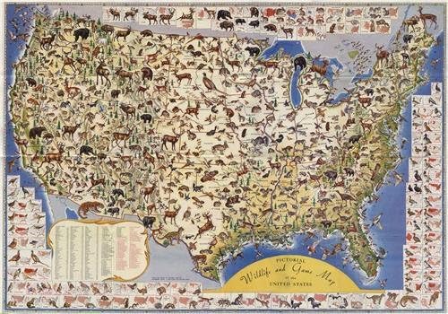 Amazon.com: USA Wildlife and Game MAP Glossy Poster Picture Photo
