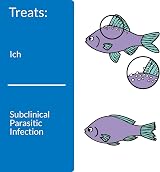 API White Spot Cure Freshwater Saltwater Fish Medication 118 ml view 3