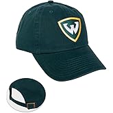 Desert Cactus Wayne State University Baseball Hat WSU Warriors Brimmed Embroidered Cap Adjustable Cloth Strap Adult (Style A) Green