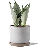Chubacoo 5.8 Inch Plant Pot: Ceramic Planter with Drainage Hole & Saucer - Cylinder Round Flowerpot for Indoor & Outdoor Plants - with Separate Tray for Home & Office - Retro Style, Grey