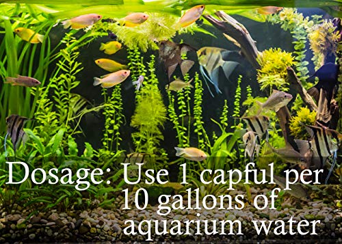 KloudAway Freshwater Aquarium Water Clarifier - Clears Cloudy Water, Water Clarifier for Fish Tank, Made in USA (2 Pack) - Thumbnail 2