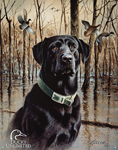 UPC 605279112036, DUCKS UNLIMITED - Great Retrievers Metal Tin Sign 12.5W x 16&quot;H , 13x16