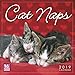 Cat Naps 2019 Wall Calendar by