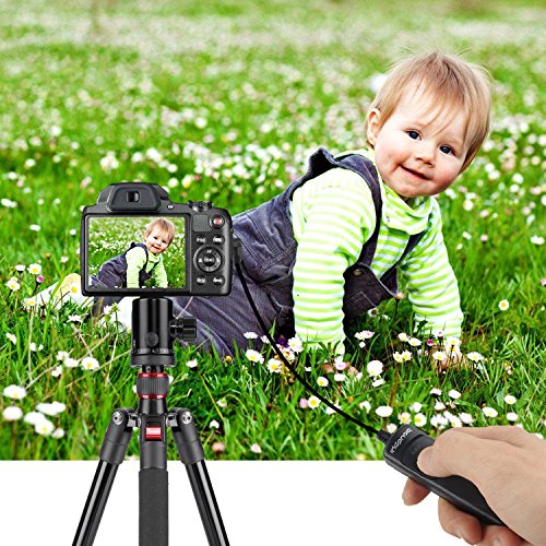Wired Shutter Release Cord Remote Control Switch Cable Replaces RS-60E3 Compatible with Canon DSLR Camera T6i T6s T5 T5i T4i T3 T3i T2i T1i XT XTi XS XSi 60D 70D 760D G16 G15 G12 G11 G10 G1X
