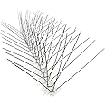 Bird-X Stainless Steel Bird Spikes, 6-inch Regular Wide Spikes, Bird Spikes for Pigeons and Other Small Birds, Easy to Install, Contains 2 ft. Strips, Cover 100 Linear Feet Area