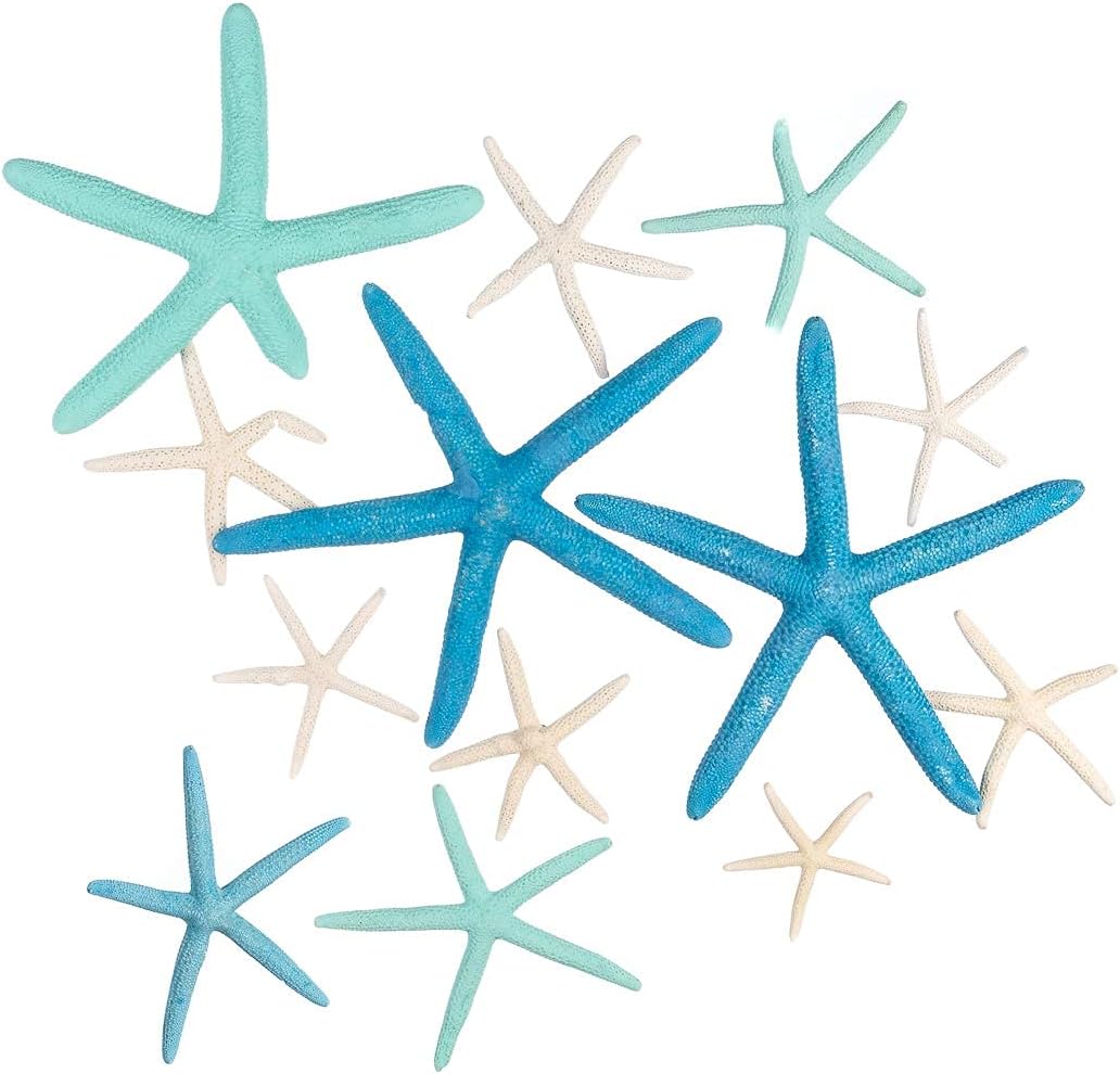 Vase Fillers - Starfish Décor - 12 Uniquely Shaped Assortment Blue Green White Finger Starfish 2