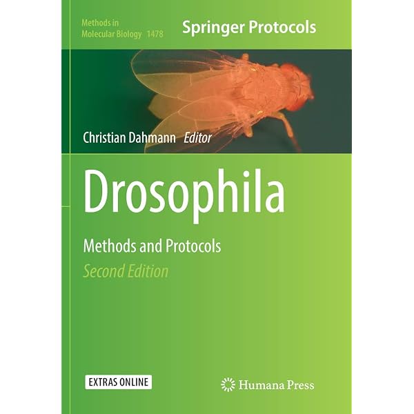 Drosophila Protocols: Sullivan, William, Ashburner, Michael