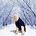 Mihachi Turtleneck Dog Sweater - Winter Coat Apparel Classic Cable Knit Clothes with Leash Hole for Cold Weather, Ideal Gift for Pet in New Year