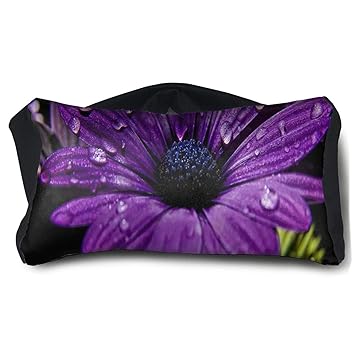 Amazon Com Eye Pillow Purple Daisy Best Vintage Womens Portable