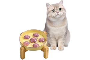 PTOBER Elevated Slow Feeder Cat Bowl - Maze Puzzle Cat Food Dish with Bamboo Stand, Anti-Slip - Raised Base for Comfortable Eating - 6 OZ - Light Purple Flower