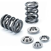 Supertech SPRK-H1021D Dual Valve Spring Kit