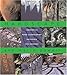 Hardscape: Innovative Hard Landscaping Materials for Gardens by 