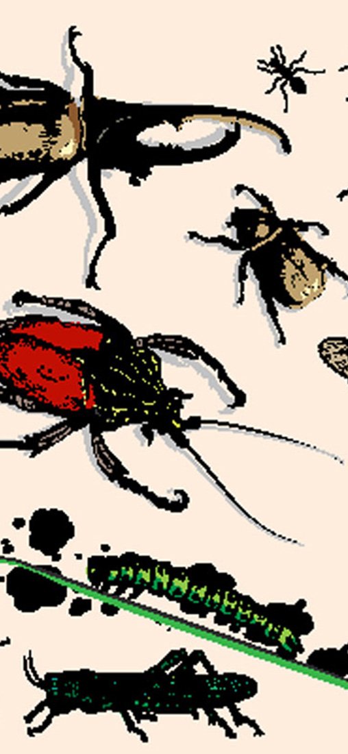 PeelitStickit Fantasy Wallpaper, Wall Mural ID-027, vinyl