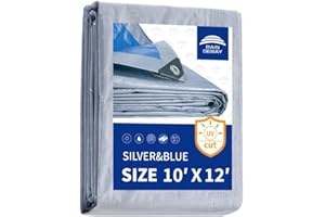 RAINDEWAY Tarps - 10x12 Feet, 5.5 Mil Thick, Multipurpose Waterproof Poly Tarp Cover with Metal Grommets and Reinforced Edges, Silver/Blue Tarp