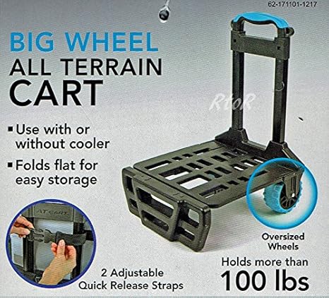 CALIFORNIA INNOVATIONS - Nevera portátil con Capacidad para 60 ...