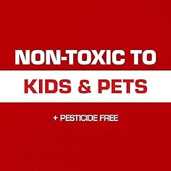 Tomcat Glue Traps Mouse Size with Eugenol for
